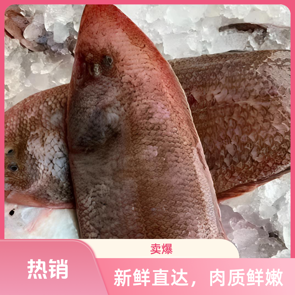 汕尾马宫港野生海鲜  海捕野生海鲜龙利鱼红婵龙舌鱼（肉厚无杂刺）