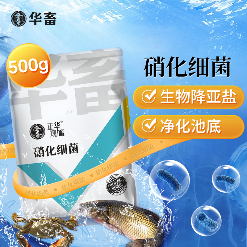 硝化细菌（水产养殖专用）亚盐氨氮反硝化细菌定向碳源Z