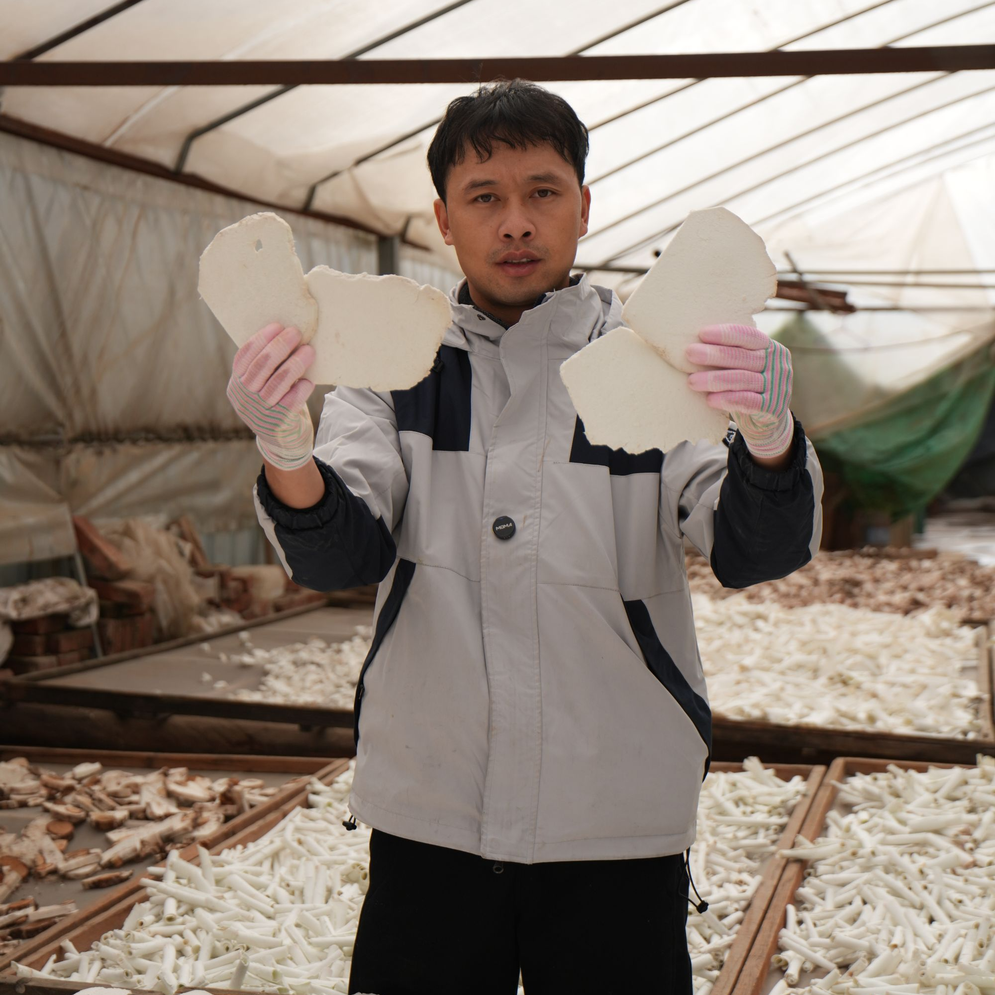 不山 · 云南老树茯苓生切生晒不熏硫煲汤熬粥食材茯苓片泡茶