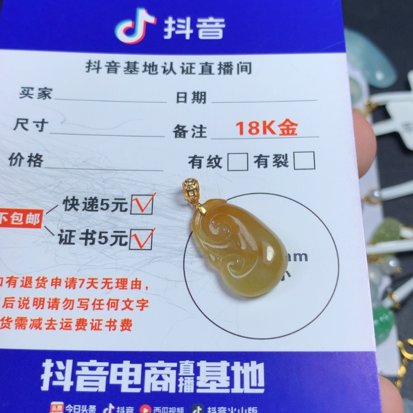 【闪购商品】翡翠颈饰未镶嵌H****淼