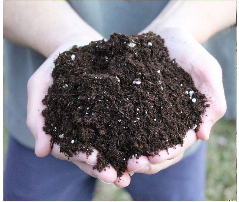 月季专用营养土 