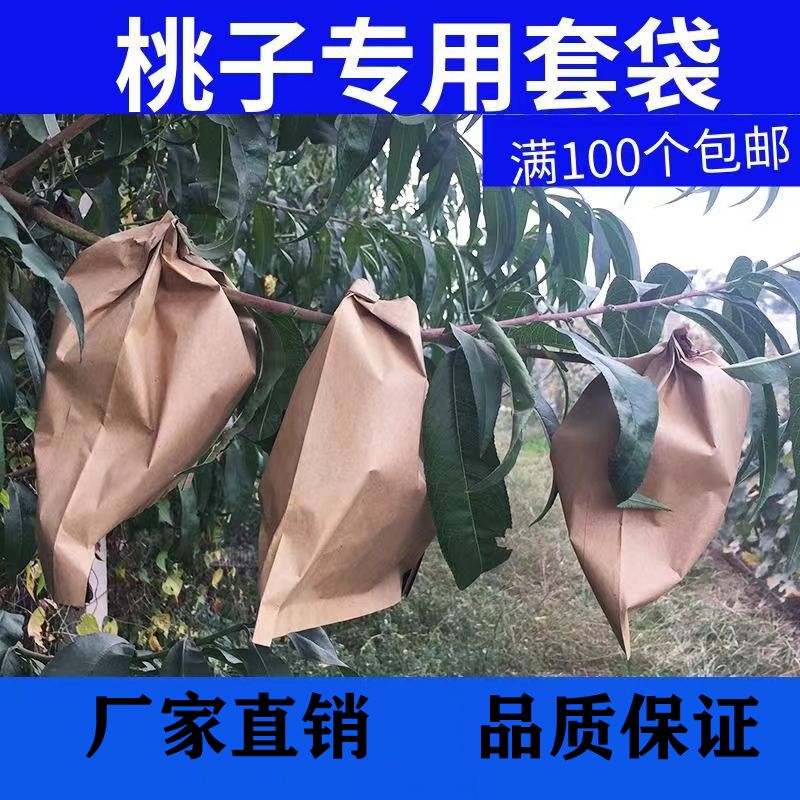 桃子套袋专用袋黄桃袋桃子纸袋黄桃水蜜桃蟠桃纸袋防虫防雨水桃袋