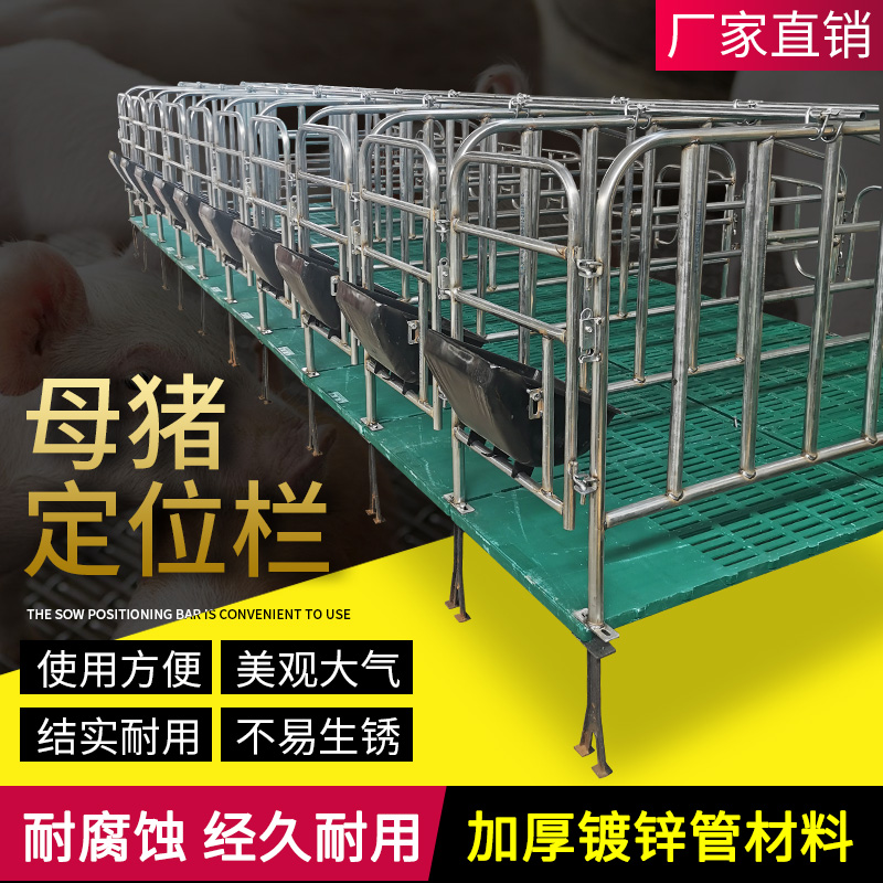 母猪定位栏限位栏国标2.5热镀锌加厚镀带板定位栏猪栏笼养殖设备