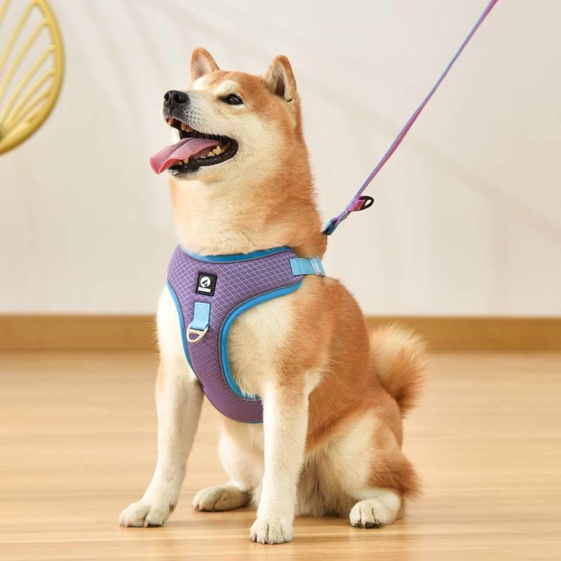 狗狗胸背带牵引绳背心式背带柯基法斗防爆冲小中型犬宠物用品项圈