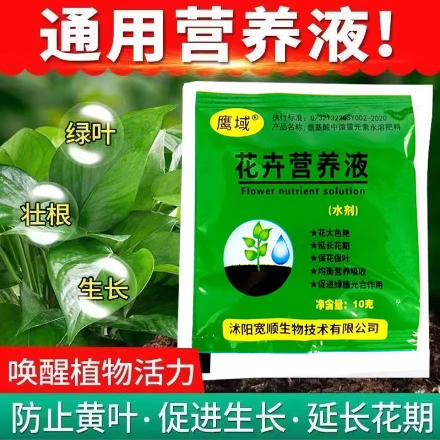 【鲜切红梅】花卉营养液通用型盆栽绿萝多肉水培绿植氨基酸营养液