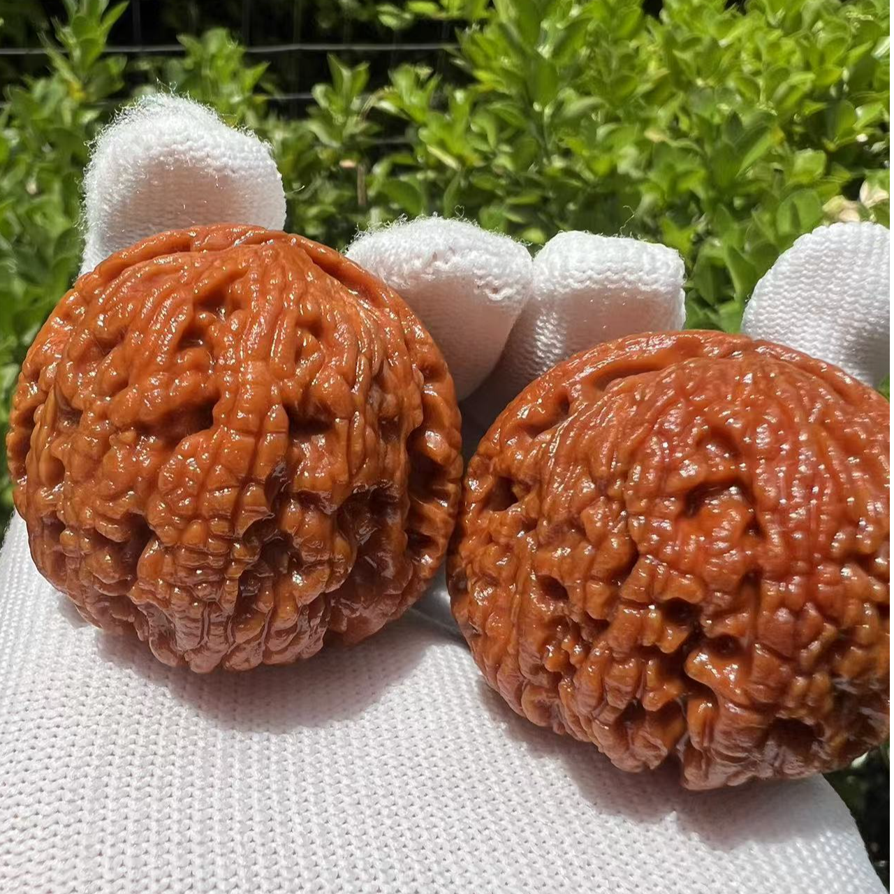 【蛤蟆背】秦岭野生文玩核桃精选配对