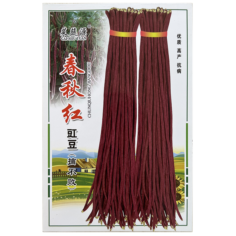 春秋红豇豆角种子紫红色特长豇豆高产抗病早熟春秋蔬菜种籽