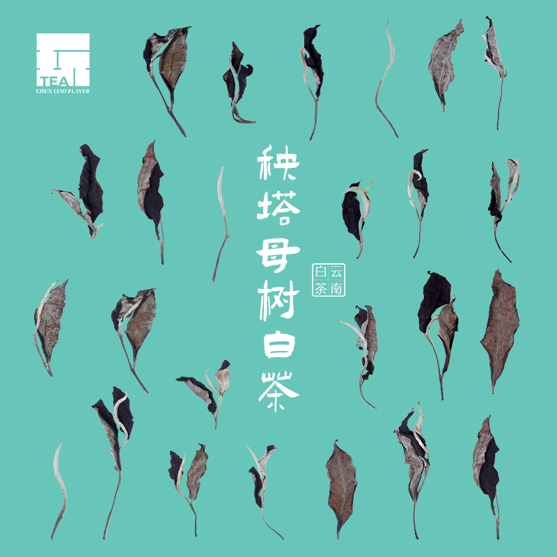2025年景谷秧塔母树白茶 200g 花香蜜甜经典原料产地制作定制