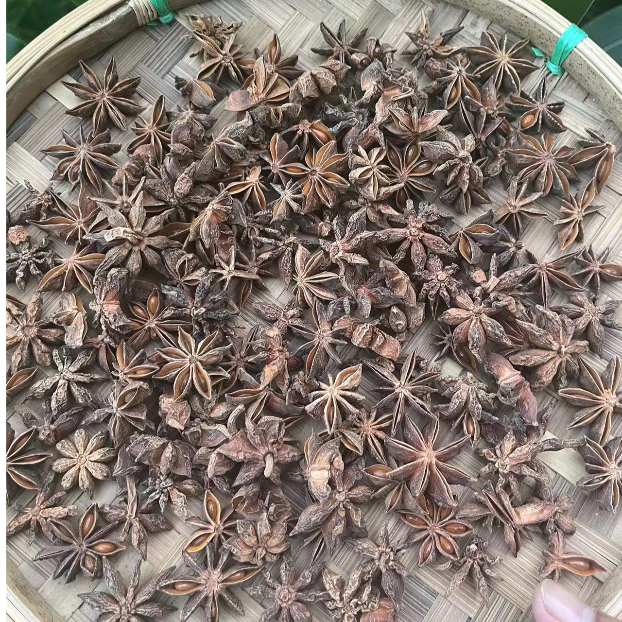 【八角】净重-100g