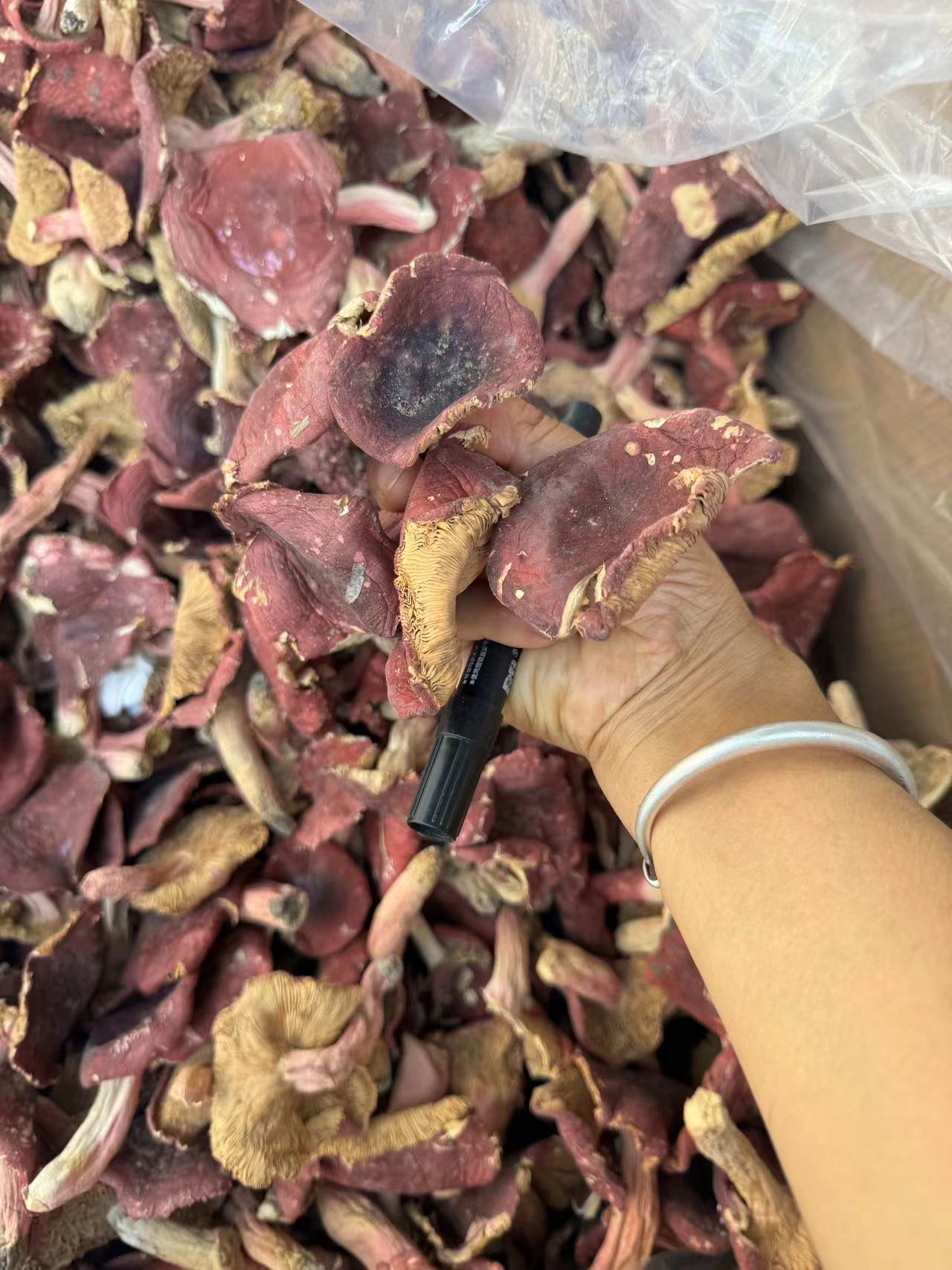 河南红菇 福利河南红菇野生正宗500g