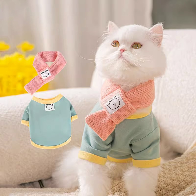新款宠物服饰小熊秋冬卫衣带围巾小狗狗两脚衣猫猫打底衫猫咪衣服