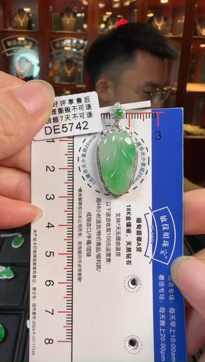 【闪购商品】翡翠颈饰18K金镶嵌DE5742叶子