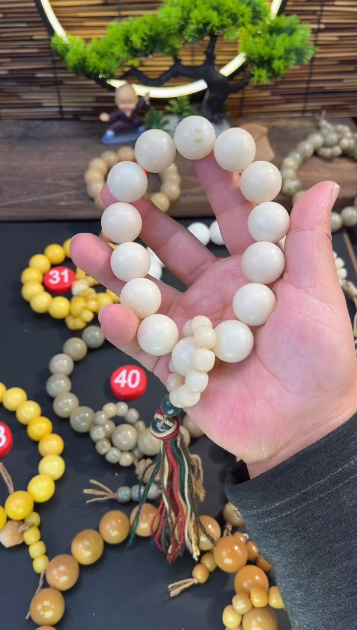 【闪购商品】菩提根/象牙果手串大白提 单圈