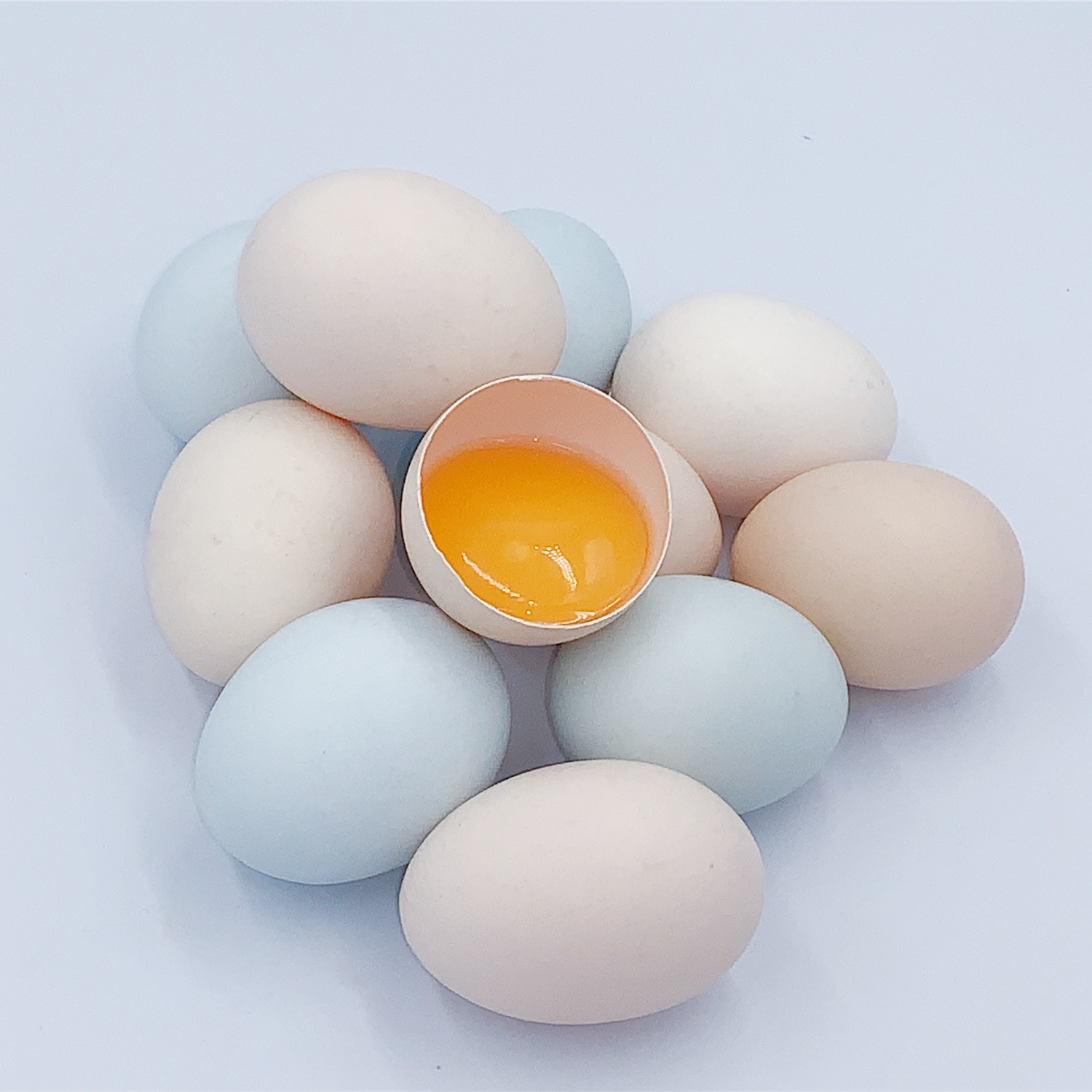 稻谷泉 土鸡蛋散养10枚试吃装 绿色富硒土鸡蛋 草鸡蛋新鲜包邮