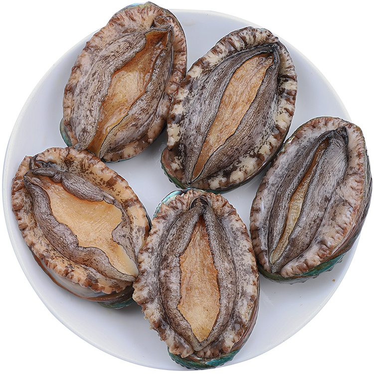 鲜活新鲜小鲍鱼15-18头（3只）