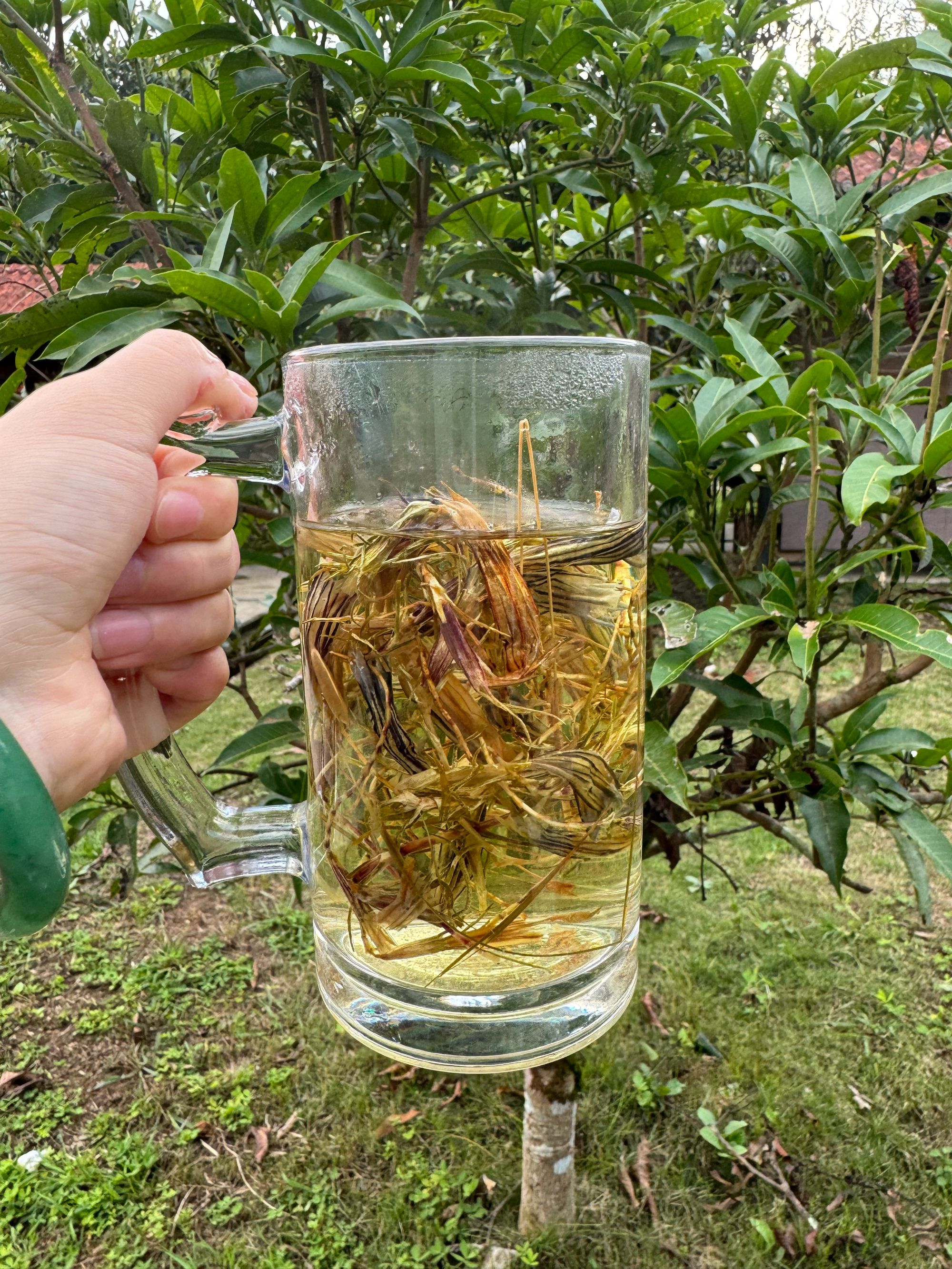【娜娜推荐】现收土特产 雾-冰-莲100克--500克食用农产品