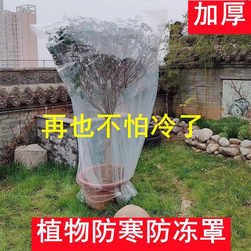 绿植物防冻加厚保温袋塑料膜花卉盆栽过冬保护罩树木防寒保暖防尘