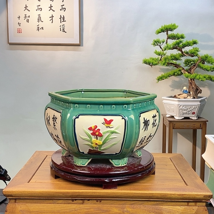【闪购商品】红陶171cm(含)-200cm(含)花**贵
