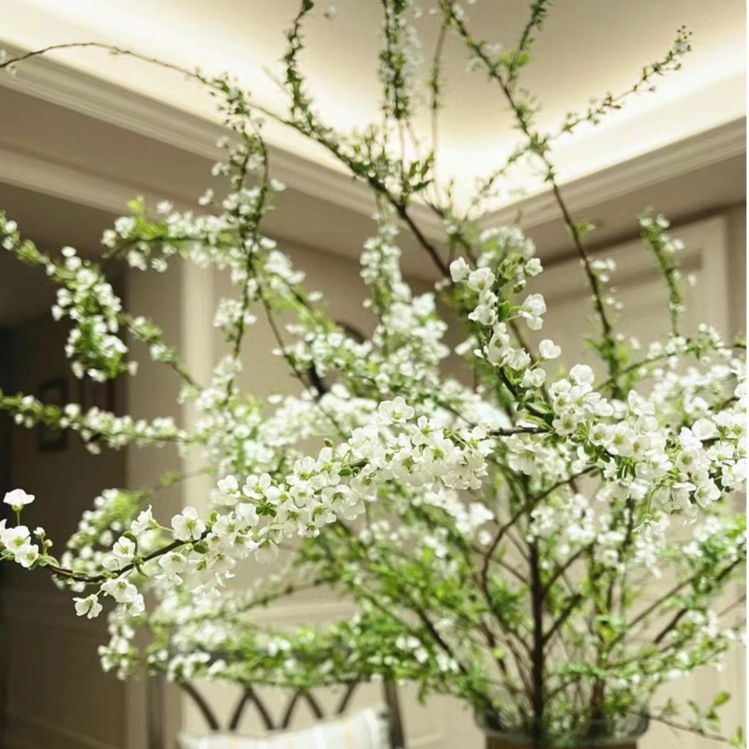 【新疆包邮】好兆头干枝雪柳懒人植物好养 花艺 雪柳花鲜枝冬季鲜花