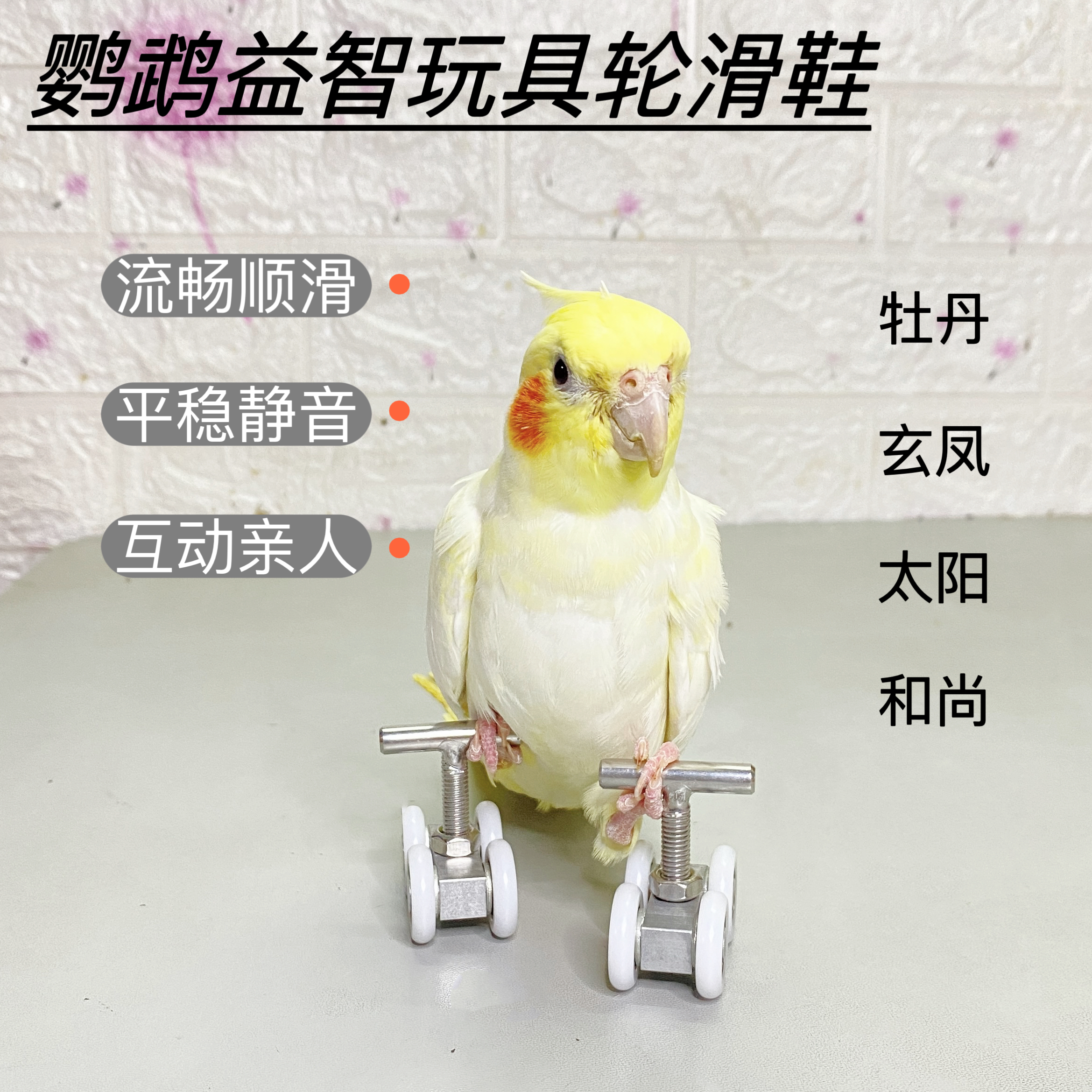 鹦鹉益智互动玩具轮滑鞋训鸟道具技能训练用品牡丹玄凤太阳和尚