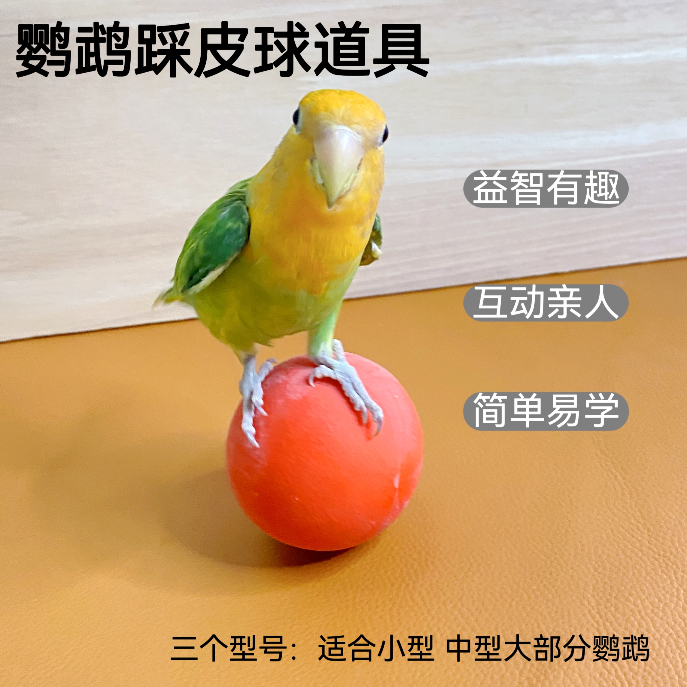 鹦鹉益智玩具训鸟踩球互动训练道具牡丹太阳和尚盘鸟用品互动亲人