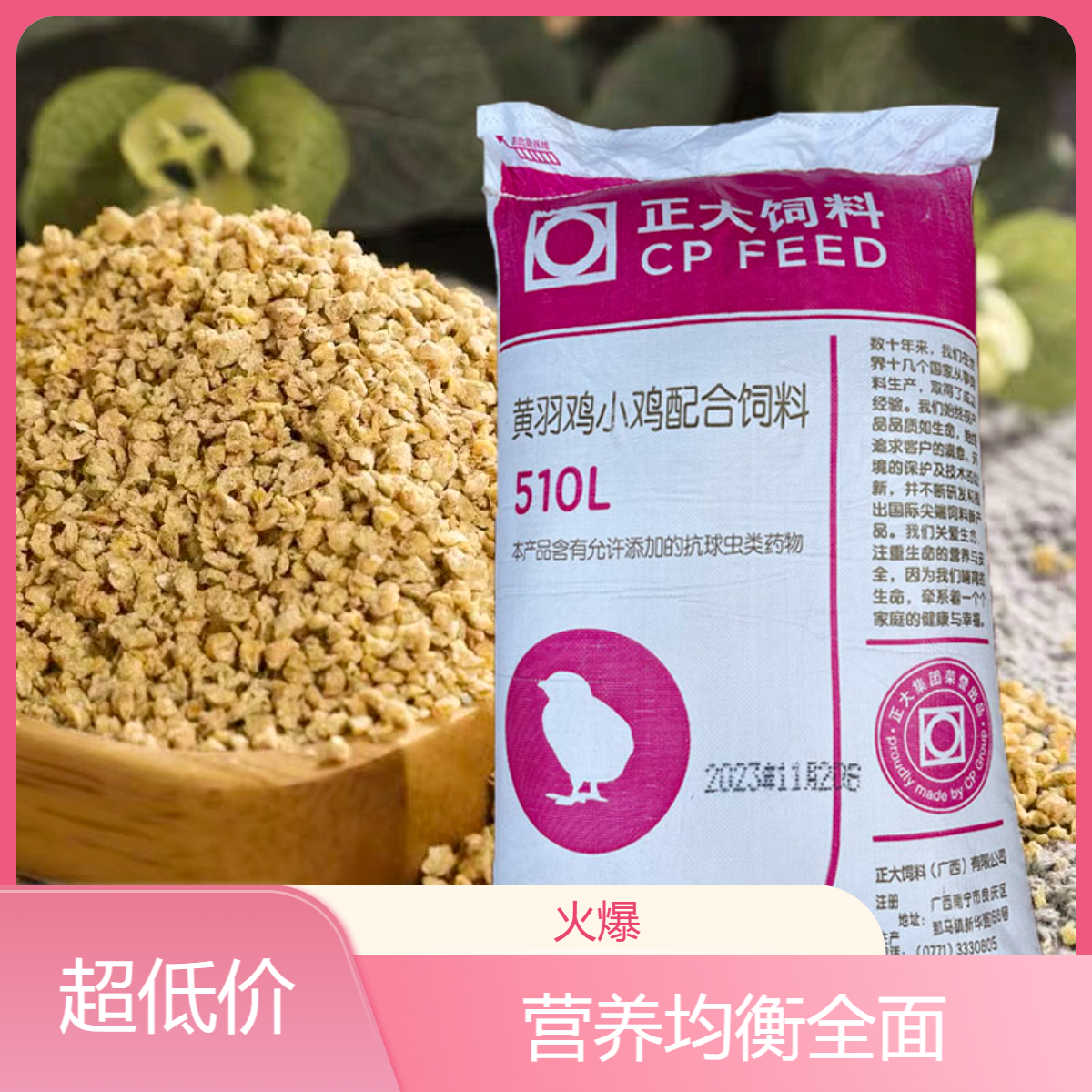 养殖正大小鸡饲料开口料雏鸡鸭鹅鸟料鸡食中大鸡料钓鱼打窝蛋白料