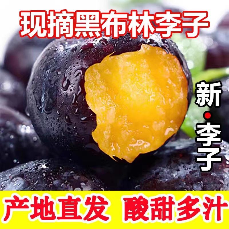 黑布林李子当季水果新鲜包邮整箱脆红李时令应季现摘黑李香甜果香