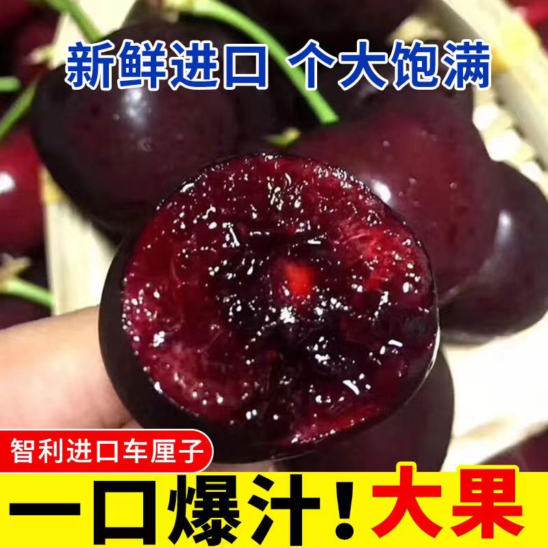 5J车厘子桑提娜2斤（两盒）