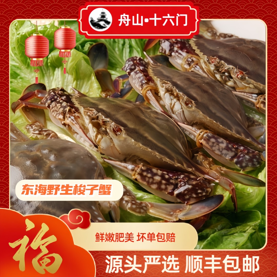 精品母蟹 舟山梭子蟹  新鲜冷冻 规格2-3两/只 鲜嫩肥美 严选包赔