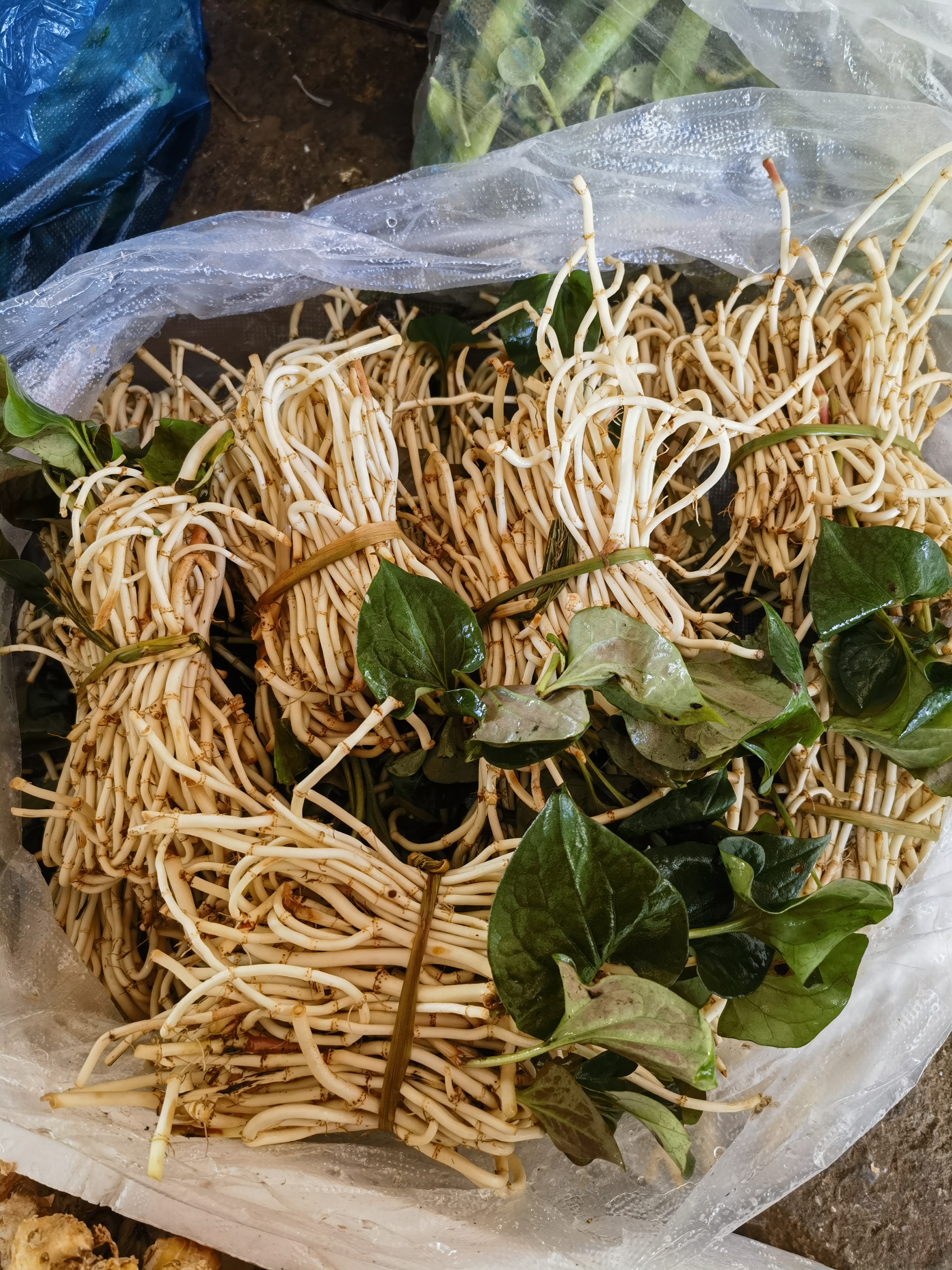 云南丘北特产鱼腥草5把装，带少部分叶子有一斤半左右