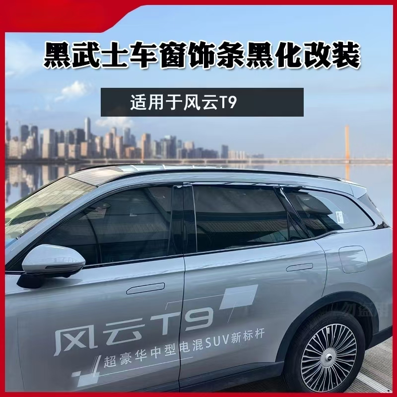 奇瑞风云T9专用车窗饰条装饰条不锈钢车窗亮条车身外观改装装饰