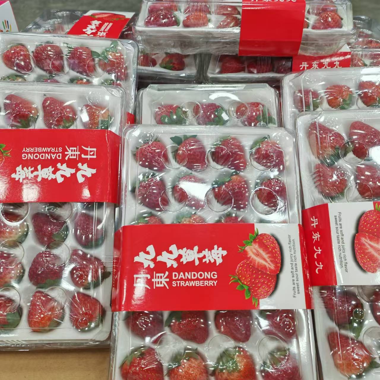 L【盒装】新到好吃的丹东99草莓（份/1盒）