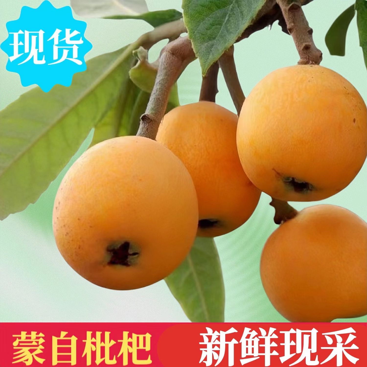 【产地直发】云南蒙自枇杷果5斤应季水果新鲜酸甜云南枇杷果1斤