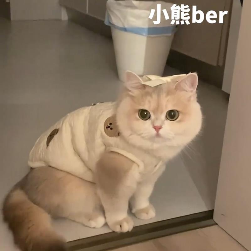 宠物猫咪狗狗衣服季保暖棉衣可爱英短银渐层布偶猫小型犬秋装