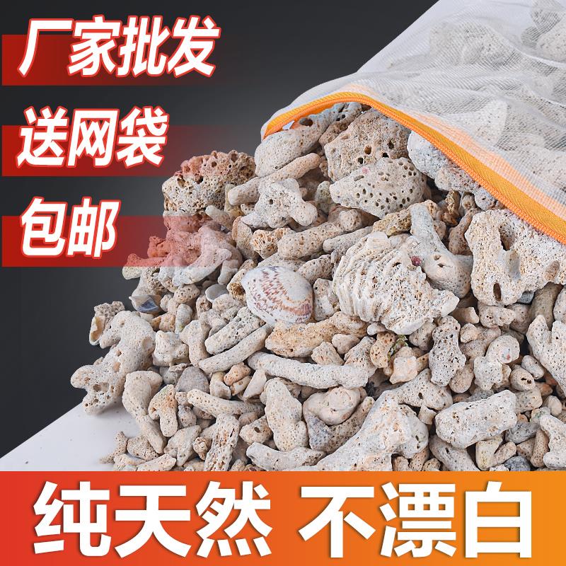 天然大块珊瑚骨滤材鱼缸过滤材料净水珊瑚石净化珊瑚砂鱼缸滤材