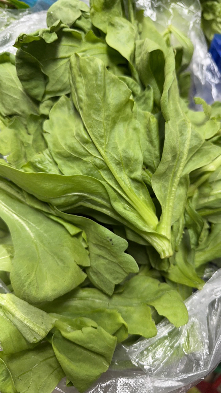 短蓬蒿纯叶片（500g）