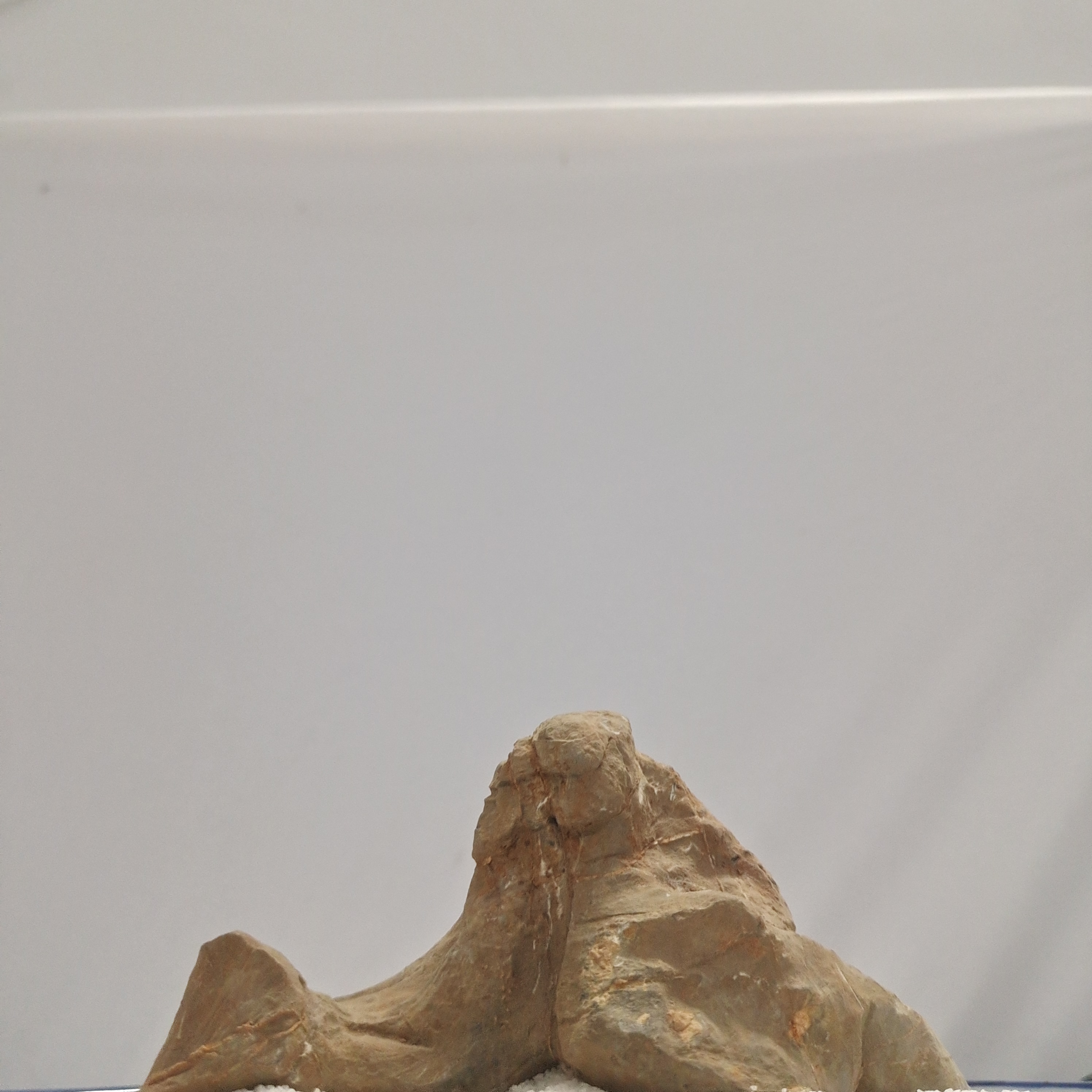 灵璧石，一物一拍，以截图为准