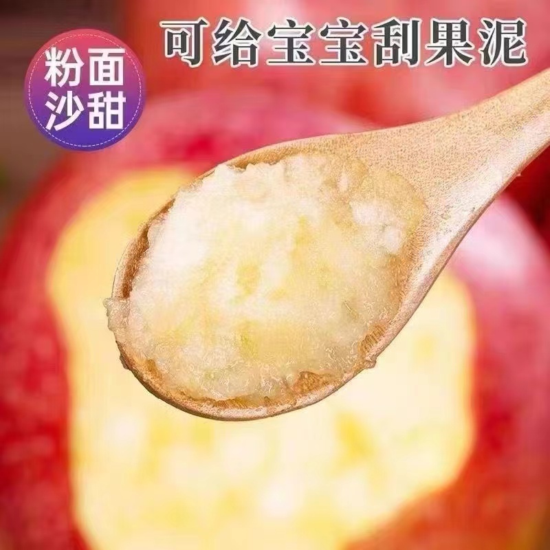 苹果大苹果  好吃的大苹果