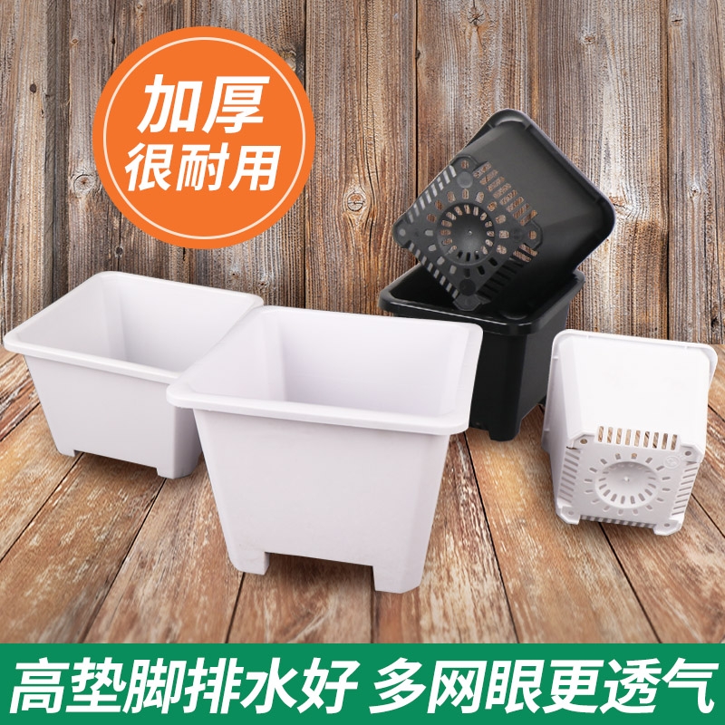 新款多肉育苗扦插小黑方形韩式方盆大白方塑料景天花盆养花种植盆