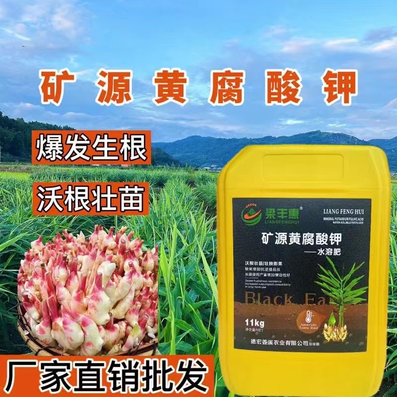 梁丰惠矿源黄腐酸钾活土壤生根促吸收根好叶才好1桶11Kg