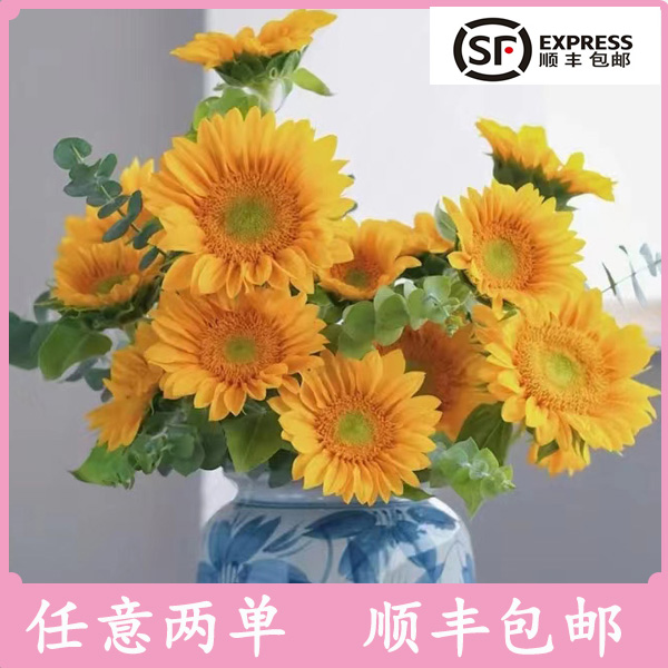 绿心向日葵鲜花花期长送人家用云南鲜花批发基地直发顺丰冷链包邮