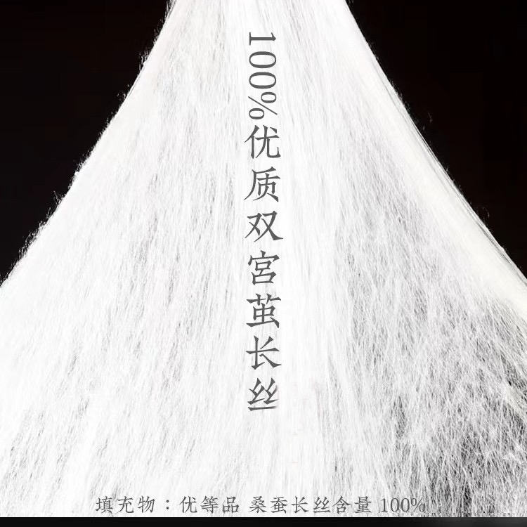 一被子 夏凉被单人被蚕丝被体验款 双宫蚕丝被0412