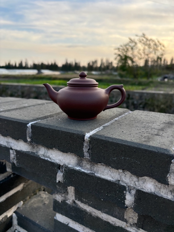 黄龙山紫泥笑樱壶200cc