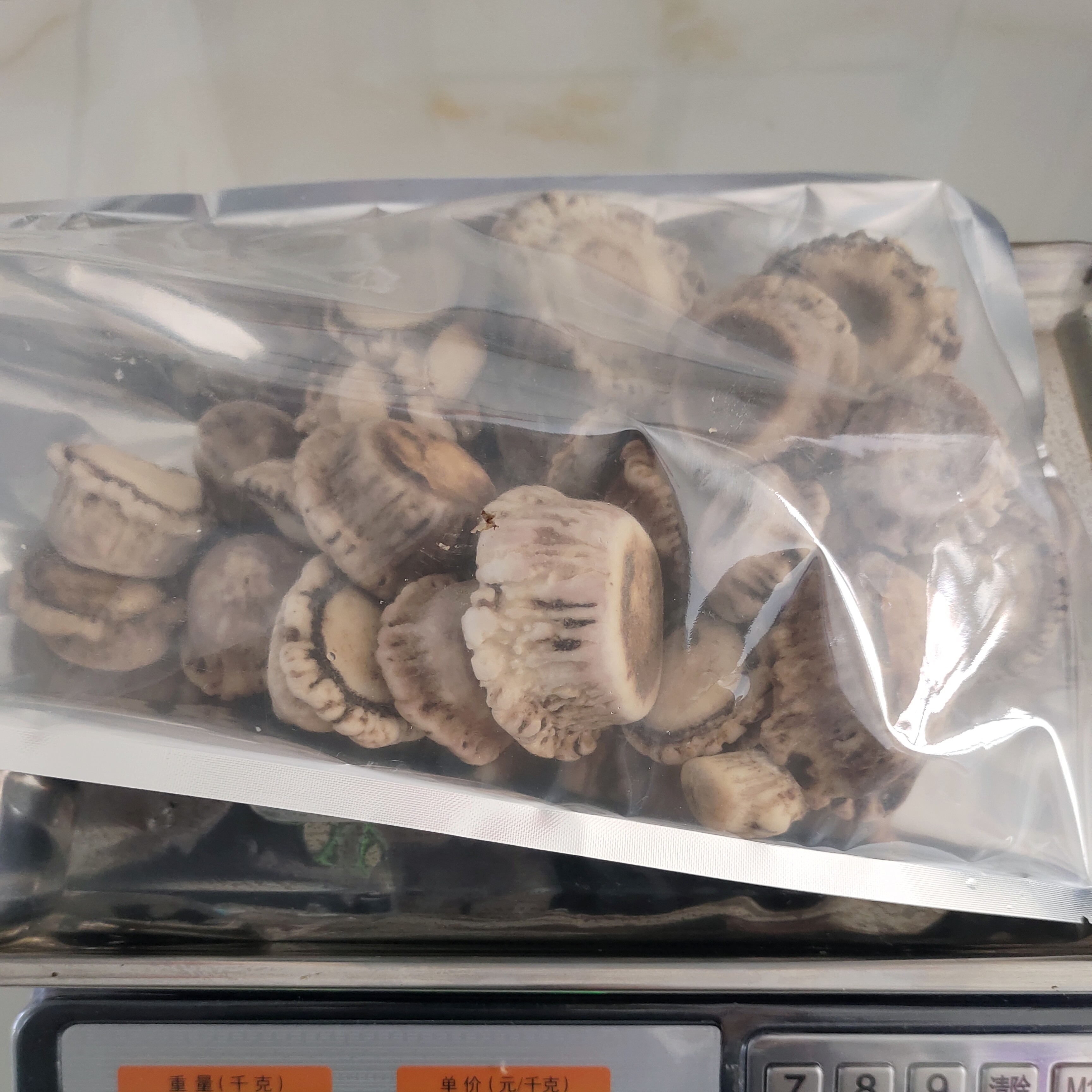 东北梅花鹿鹿托盘