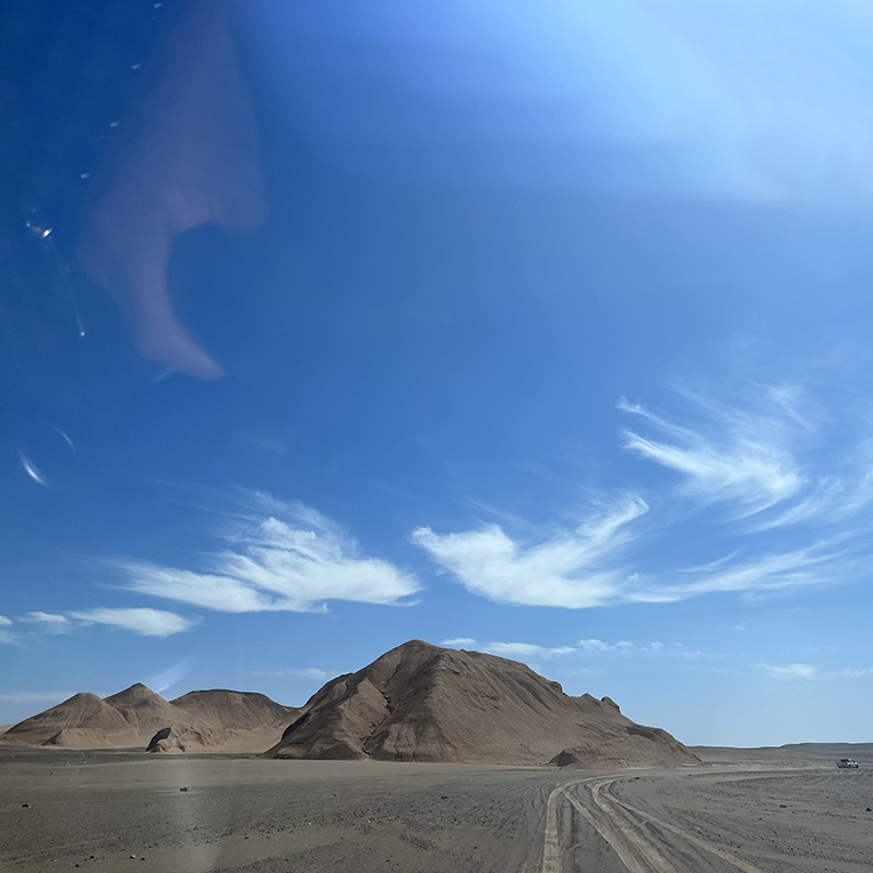 天然戈壁石泥石宠物石文房石办公摆件化石书架博古架摆件居家奇石