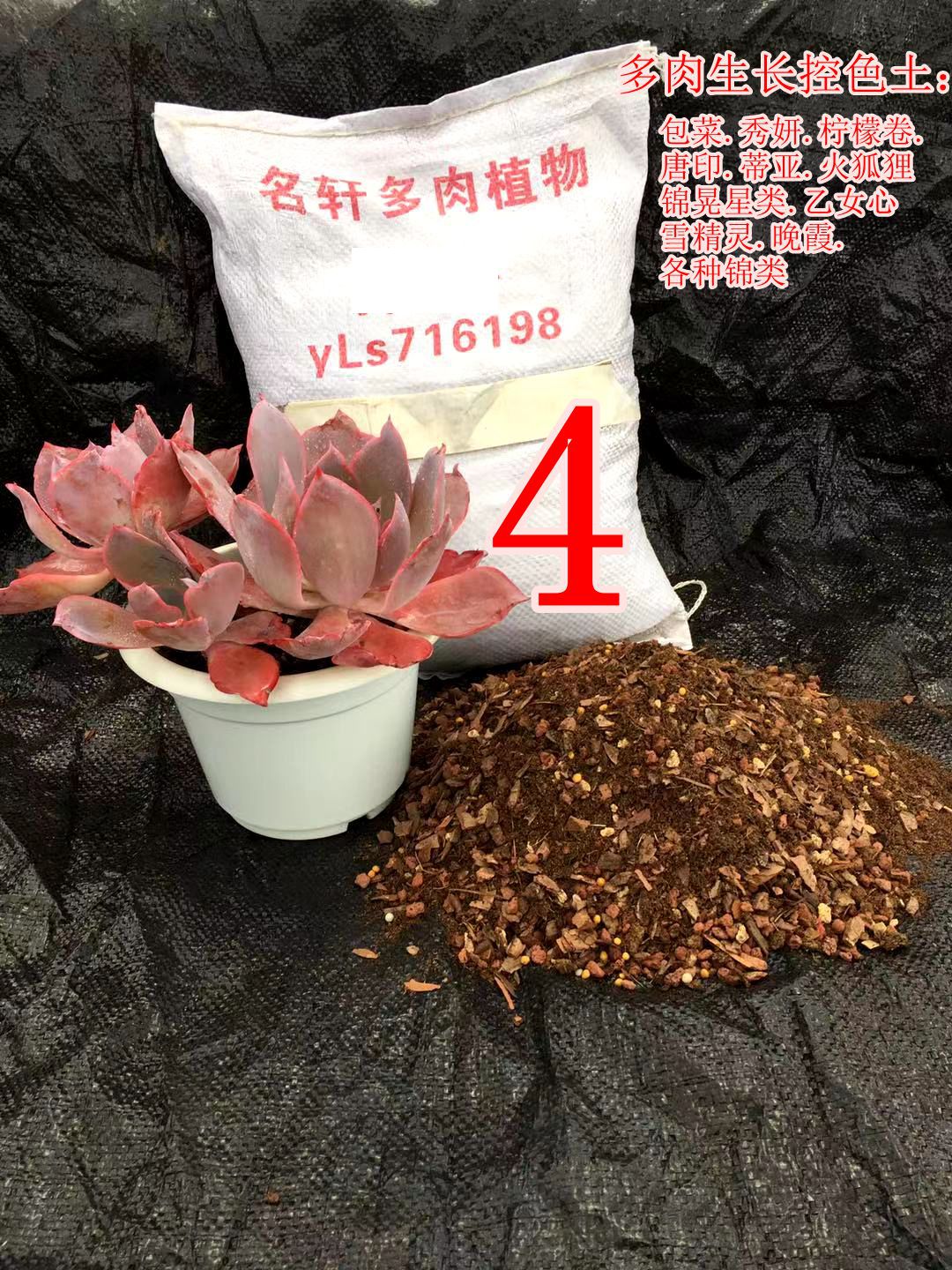  4多肉植物 生长控色土 5斤