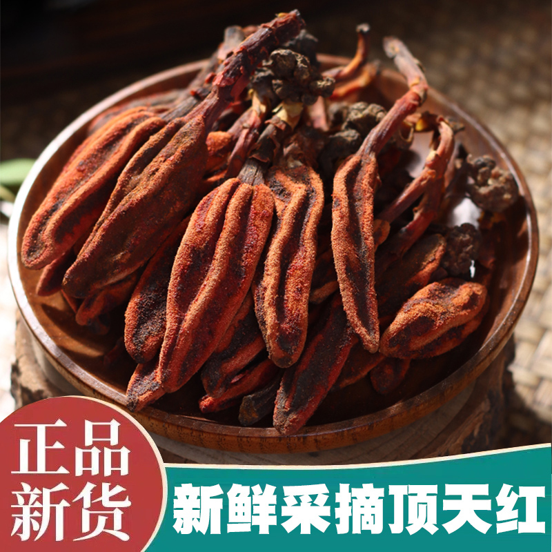 云南山货土特产顶天红100克/250克/500克2024新菌菇