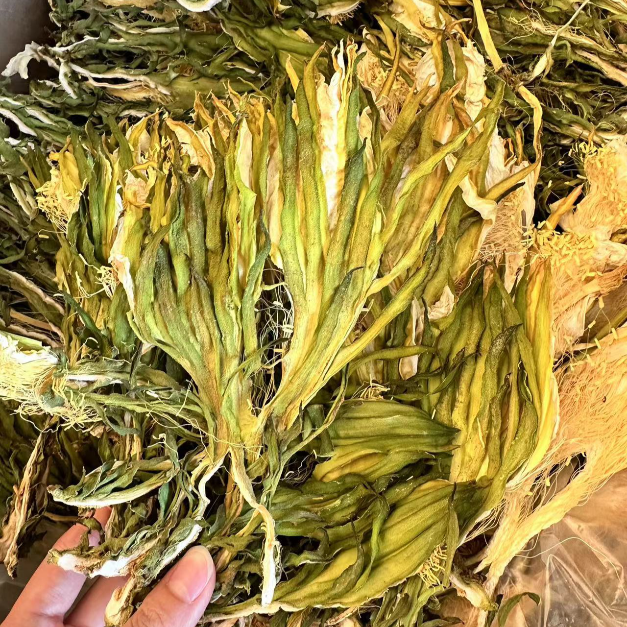 剑花  霸王花 煲汤（蔬菜干） 