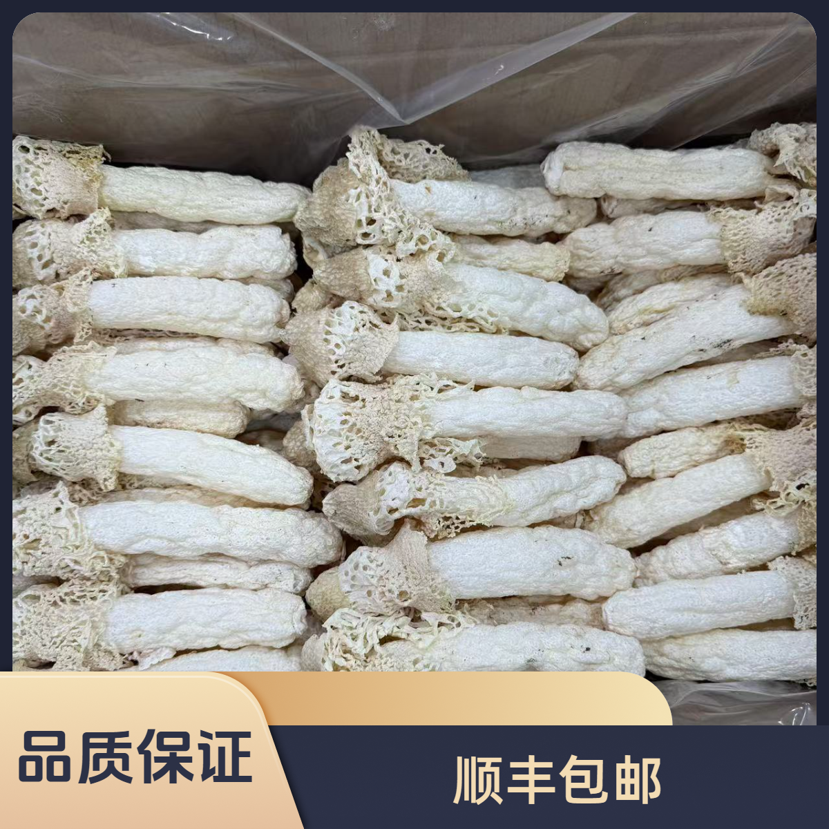 培辉堂精选 竹笙