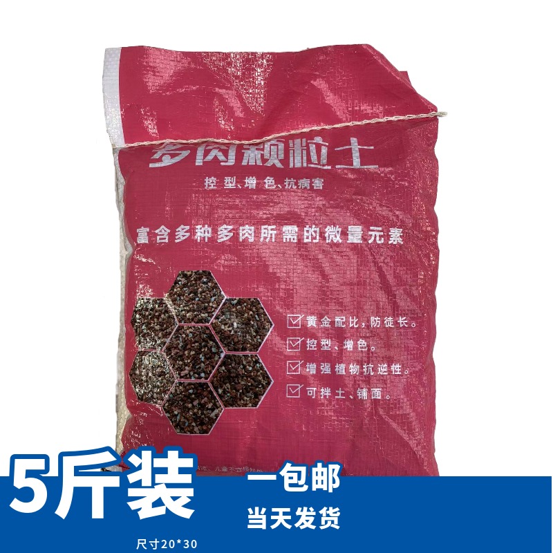 多肉颗粒 下单包邮（肉肉控型控色）5斤装 熊猫多肉 鲜花绿植适用